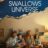 Boy Swallows Universe : 1.Sezon 7.Bölüm izle