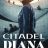 Citadel Diana : 1.Sezon 5.Bölüm izle